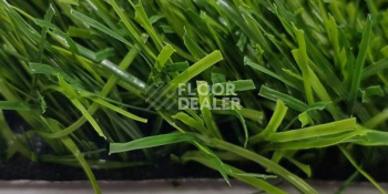 Роял Тафт Атланта Атланта  40 фото 2 | FLOORDEALER